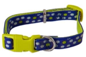 Petmate Glow - Dog Collar (XL)-image