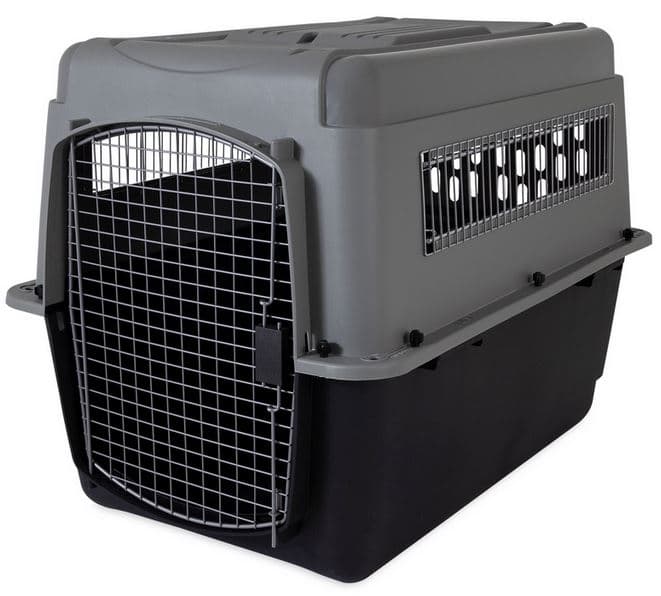 Dog Crates (Transportation) main image
