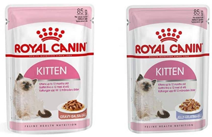 Kitten Food - Wet - Royal Canin-image