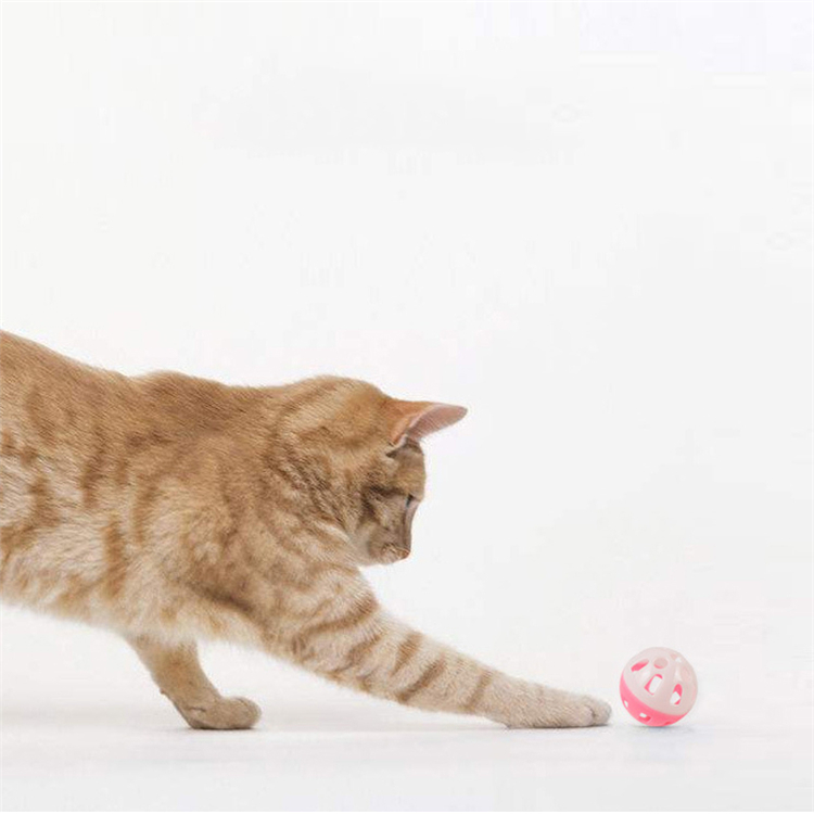 Ball with Bell cat toys main image