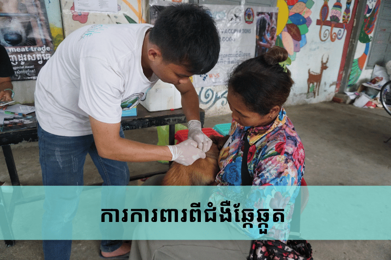 rabies prevention khmer