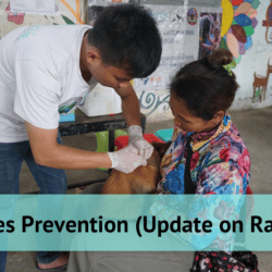 Rabies Prevention