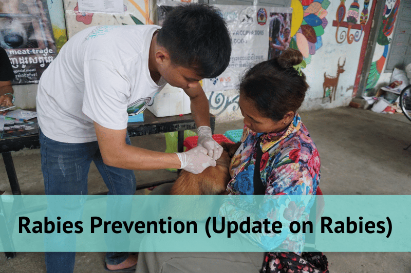 rabies prevention