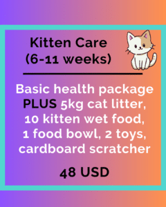 Rescue Package: Kitten Care-image