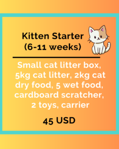 Rescue Package: Kitten Starter-image