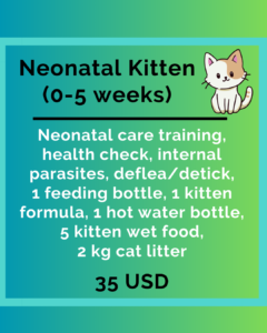 Rescue Package: Neonatal Kitten-image