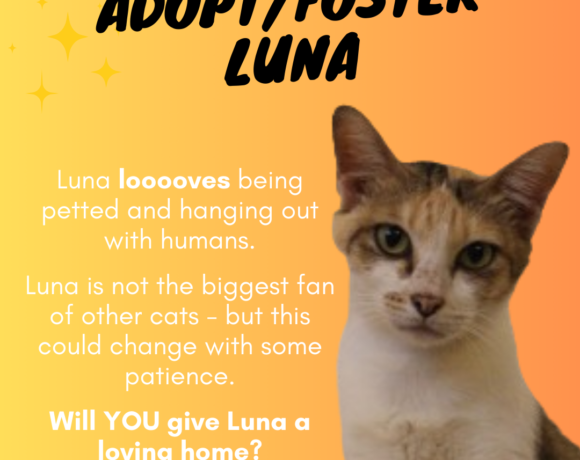 Luna