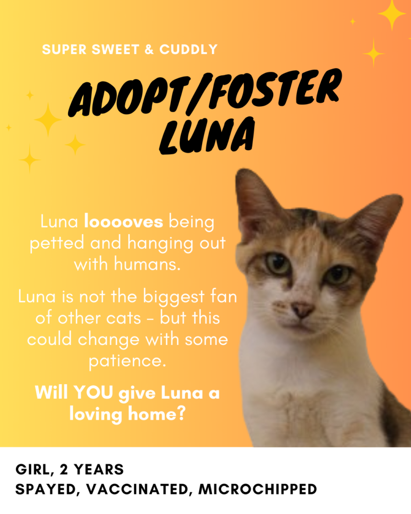 Luna