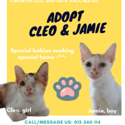 Cleo & Jamie