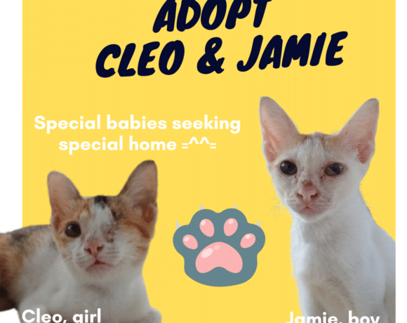 Cleo & Jamie