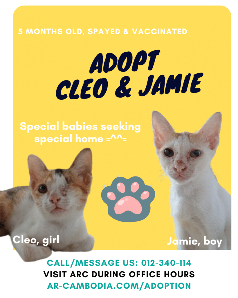 Adopt Cleo & Jamie