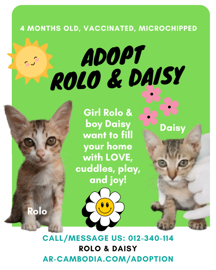 Rolo & Daisy