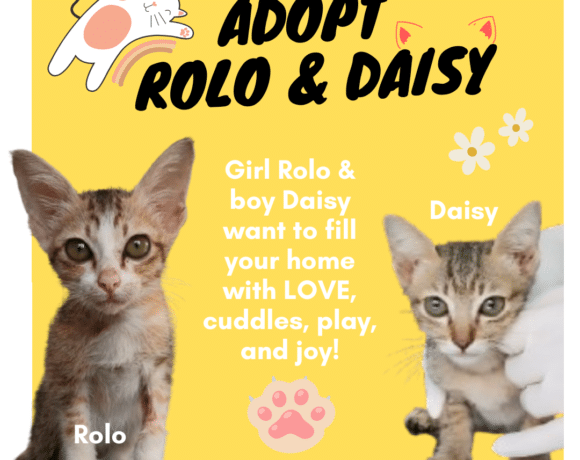 Rolo & Daisy