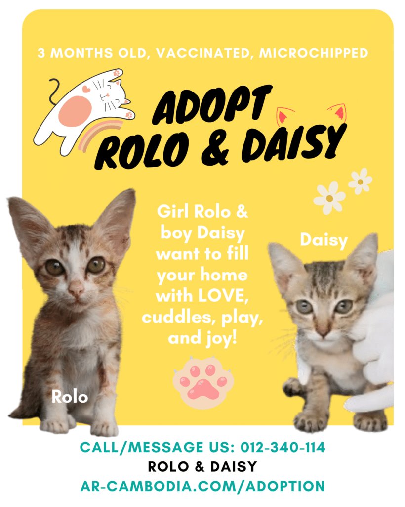 Rolo & Daisy