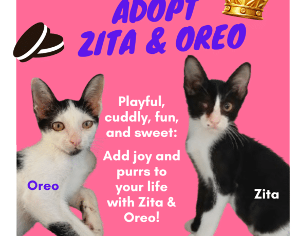 Zita & Oreo