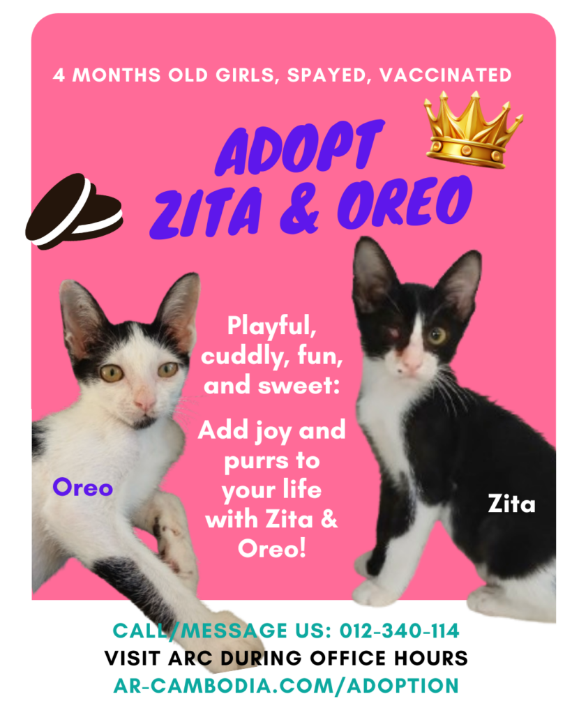 Zita & Oreo