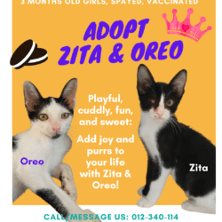 Zita & Oreo