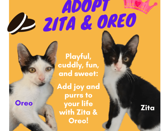 Zita & Oreo