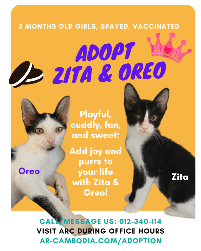 Zita & Oreo