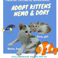 Nemo & Dory