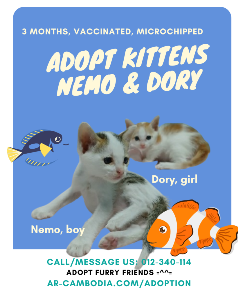 Nemo & Dory