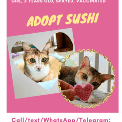 Adopt Sushi