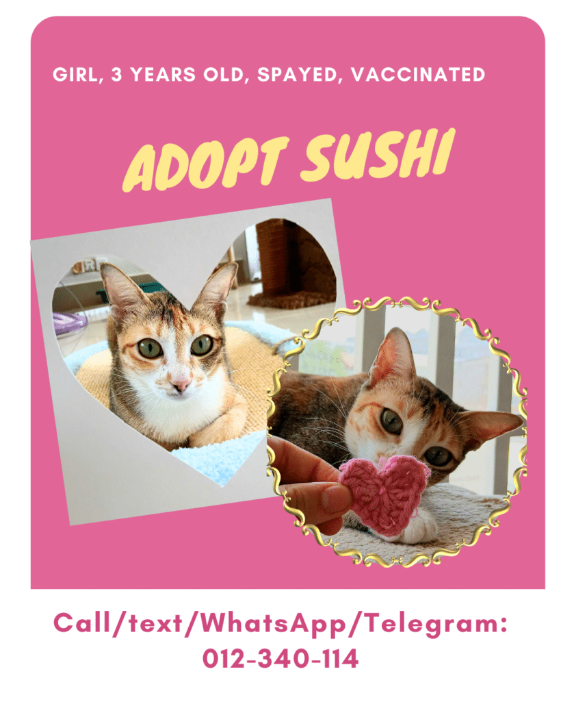 Adopt Sushi